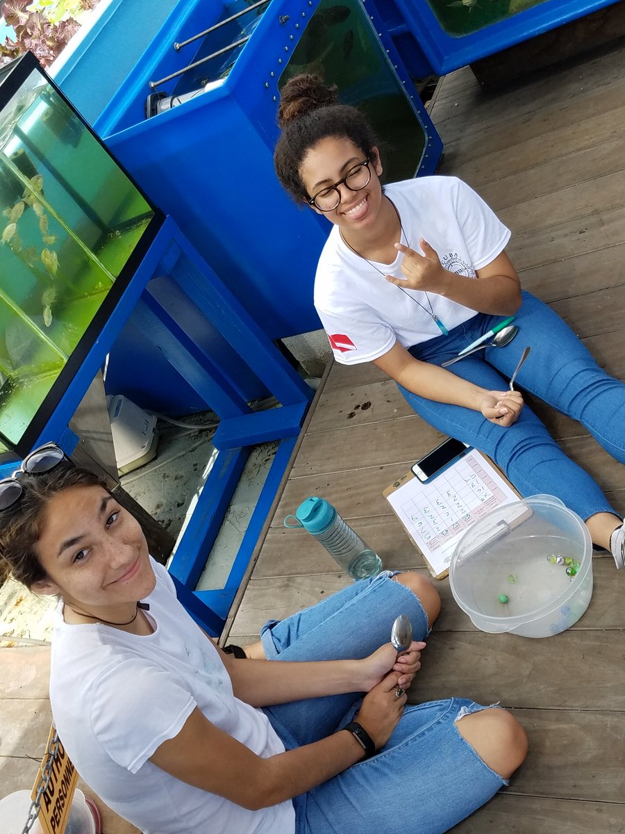 MrSalisburyMBSH's tweet photo. GreatDay @MiaSciBarge #AuthenticLearning #OutdoorClassroom @mbshSCUBA @MDCPSSTEAM Thanks to @mbseniorhigh @seandad58 @bccespedes @1pamtaylor https://t.co/9pFad6v2Vz