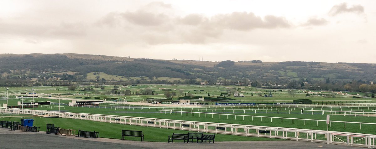 BetVictor Racing tweet media