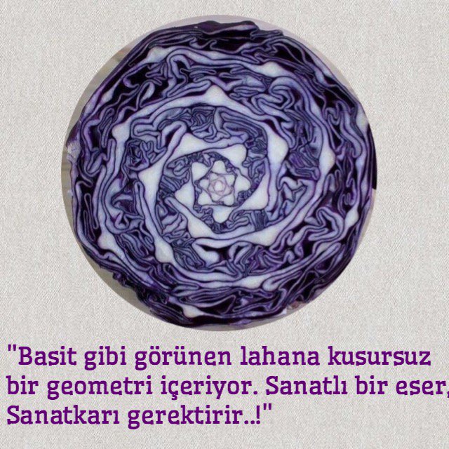 Herguntaze's tweet photo. "Basit gibi görünen lahana kusursuz 
bir geometri içeriyor. Sanatlı bir eser, 
Sanatkarı gerektirir..!" https://t.co/weKlId7WMj