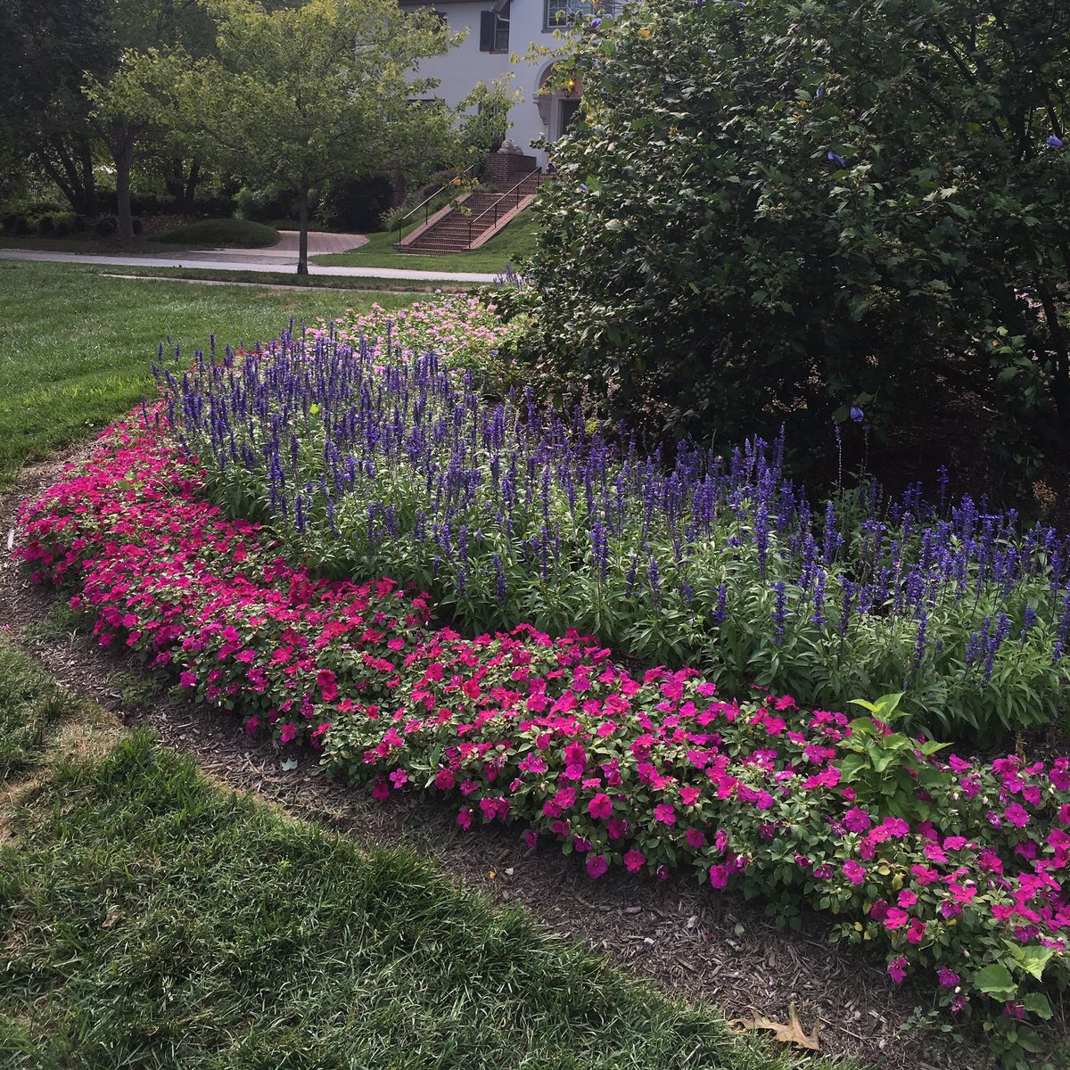 WDCGardener's tweet image. #SpringIn5Words garden tours and plant sales