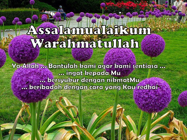 ModhSaiful's tweet image. 