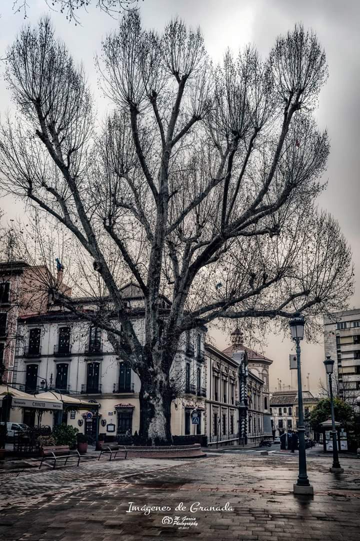 Modegarc's tweet photo. Plaza del Campillo https://t.co/1Xd7iznXXg