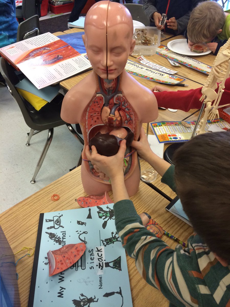 HashTagRHES's tweet photo. Science Friday in first grade. Thank you for the inspiration Ira Flatow! @iraflatow https://t.co/vFugUA6LTl