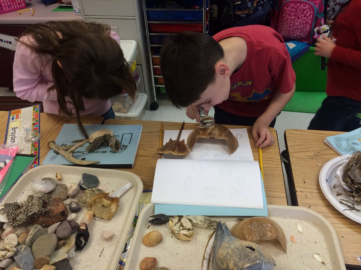 Science Friday in first grade. Thank you for the inspiration Ira Flatow! <a href="/iraflatow/">Ira Flatow</a>