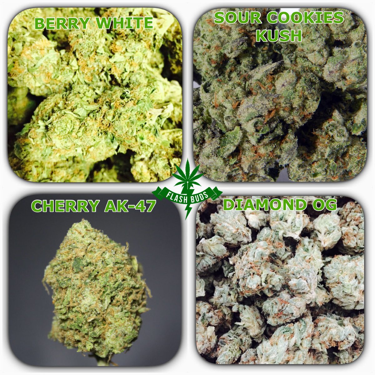 FlashBuds's tweet photo. 10 new #strains in stock!! Check out all 25 on our menu and call in for your #sdmmj delivery! 💚🚙 https://t.co/HRln2zee3L