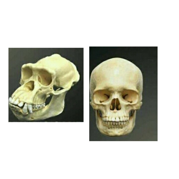 Studio9__'s tweet image. You VS the guy she tells you not to worry about