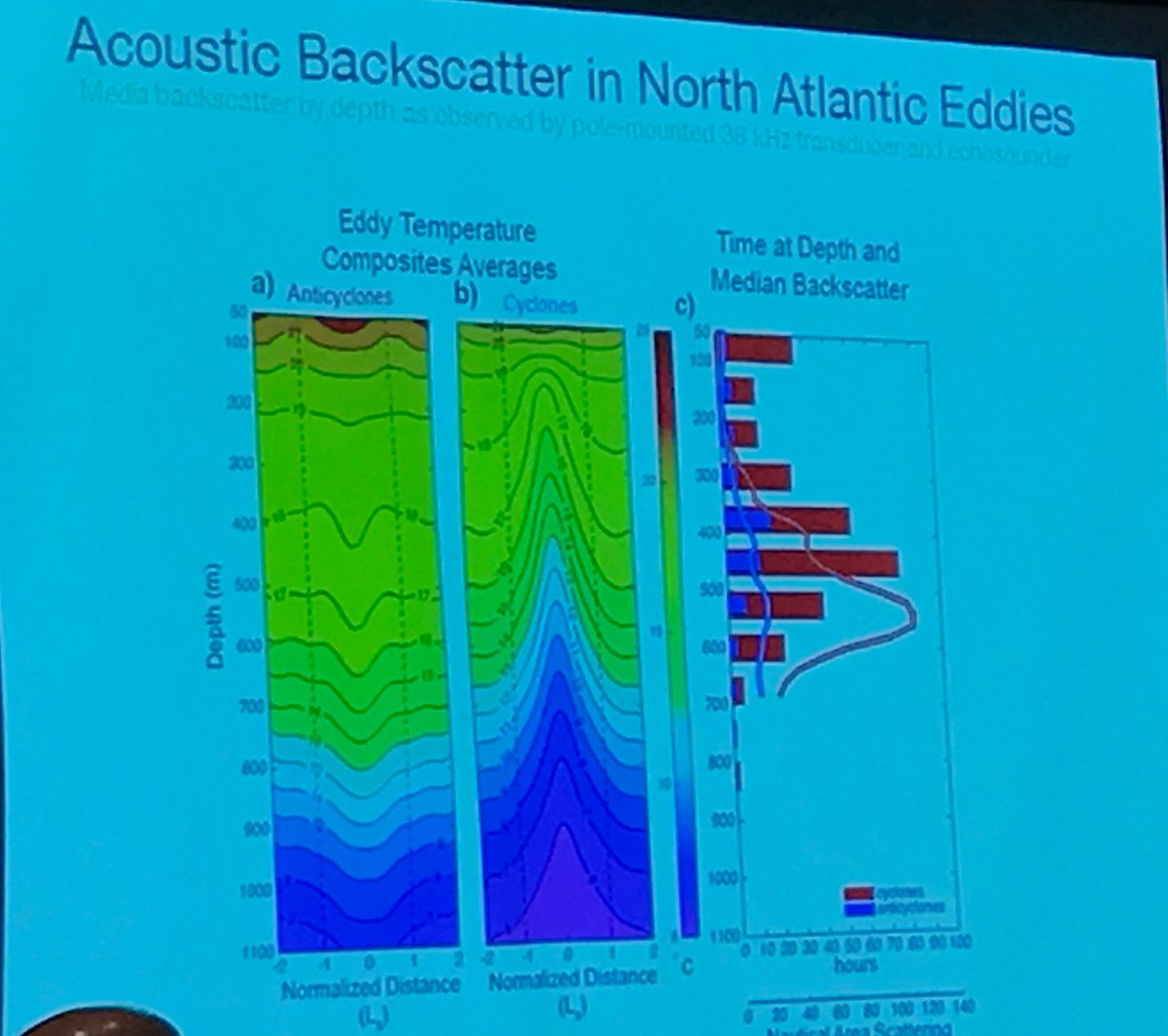 Gaube: #whitesharks diving in anticyclones where water warmer, more backscatter (more food)  #ASLOMtg