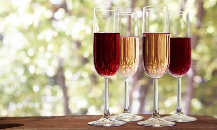 SiteWebIledeRe's tweet photo. Dégustation de 6 vins avec 3 bouteilles à emporter - Restaurant Domaine Gaujal à Pinet: #PINET En promo à 35.00€ En… https://t.co/Hl4XHpJ0ZC https://t.co/naZfsogbo4
