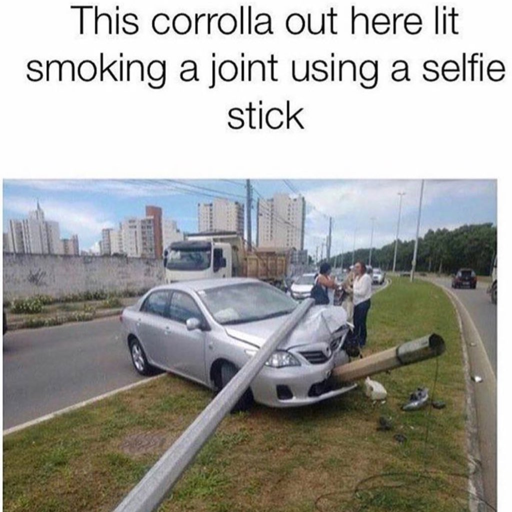 GasGrowers's tweet image. I died 😂😂#marijuana #gas #gasgrowers #weed #highsociety #hightimes