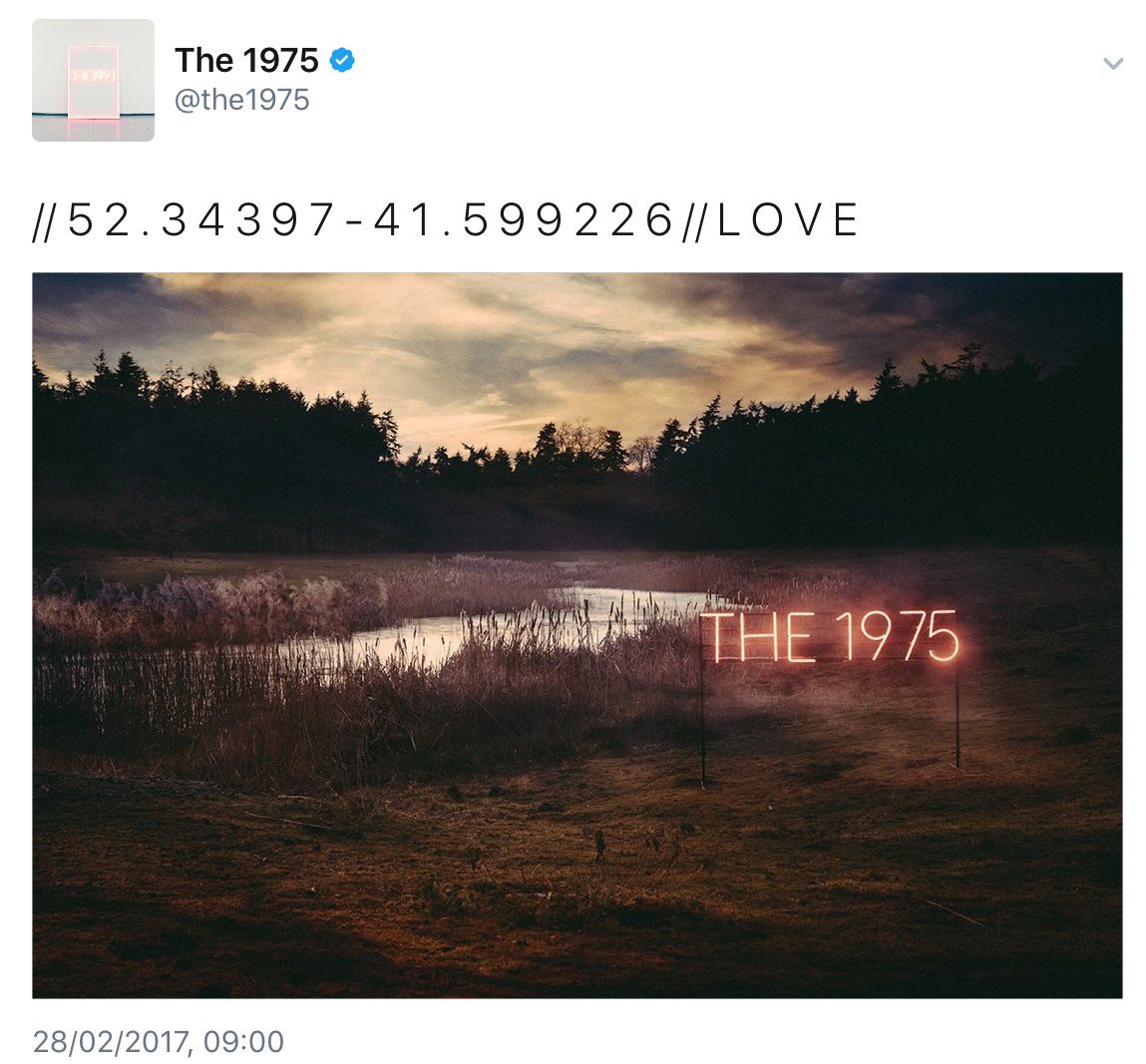 The 1975 tweet media