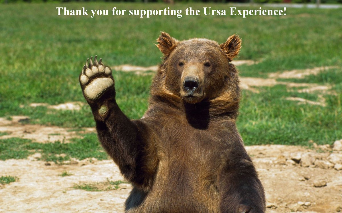 BearsFamilies's tweet photo. Thank you Vicky Trippe for supporting @MSUursa! Your gift is greatly appreciated! High Five to you! #URSA2017 https://t.co/5OaI0EMlb2