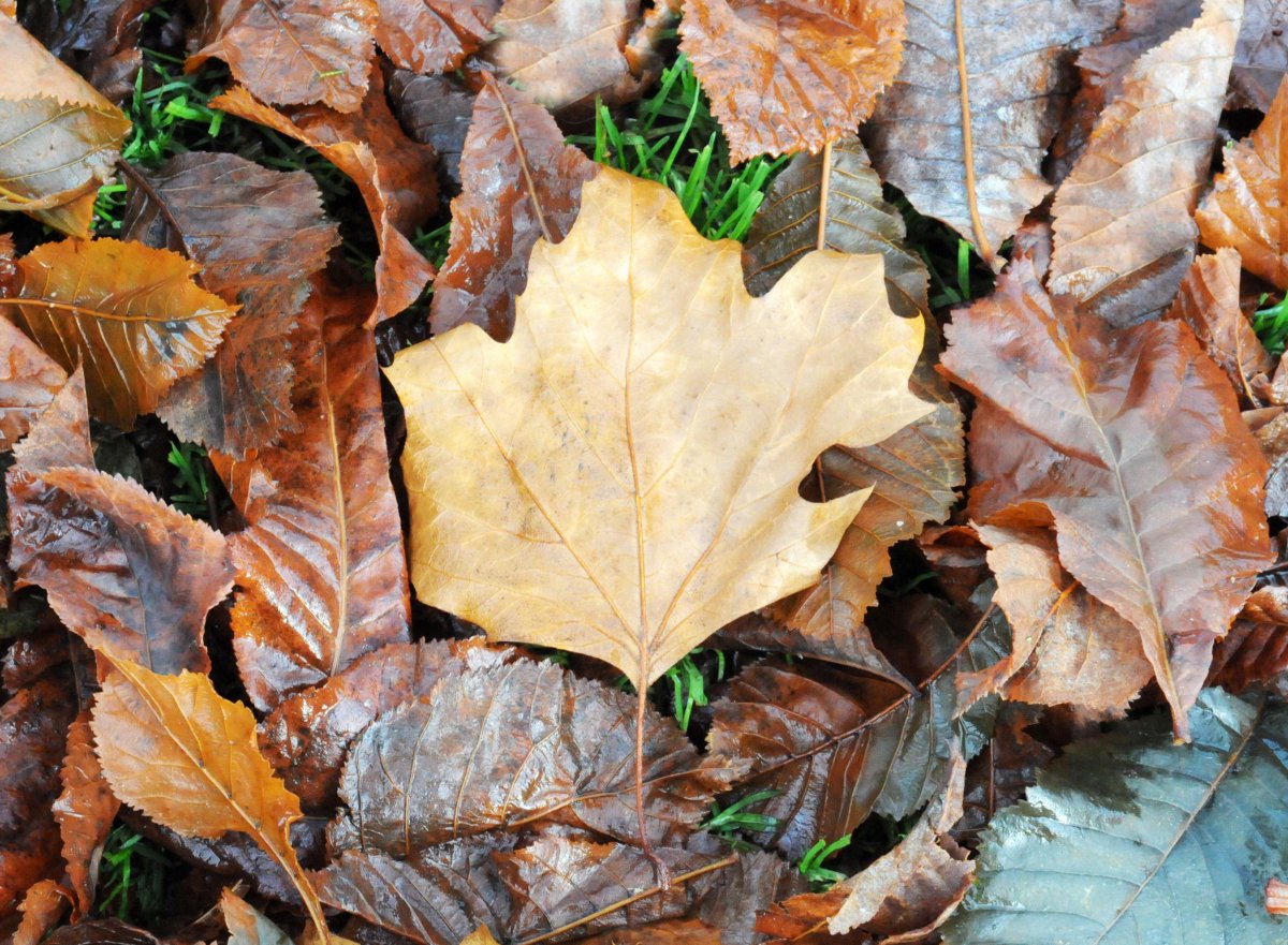 WORCESTERSHIRE tweet media