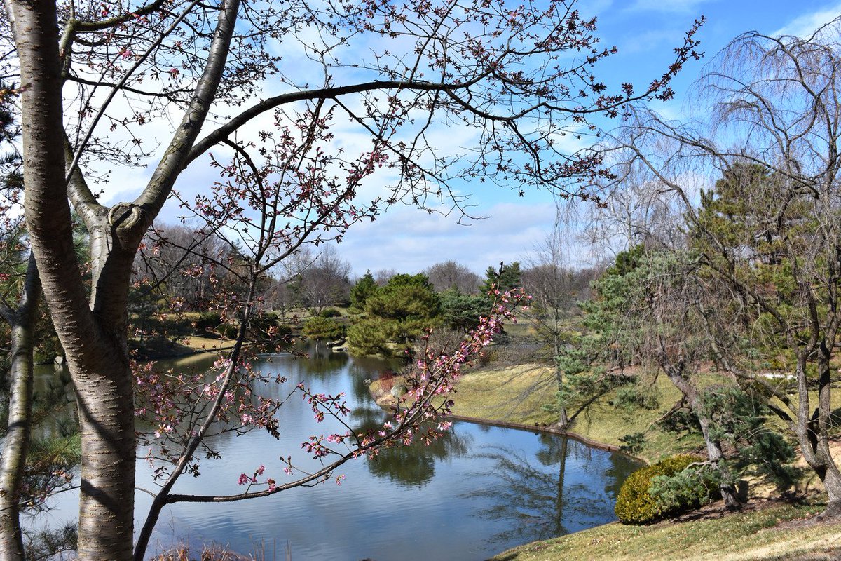 mobotgarden's tweet image. Winter? Never heard of it. ☀️ 😎  #Springin5Words