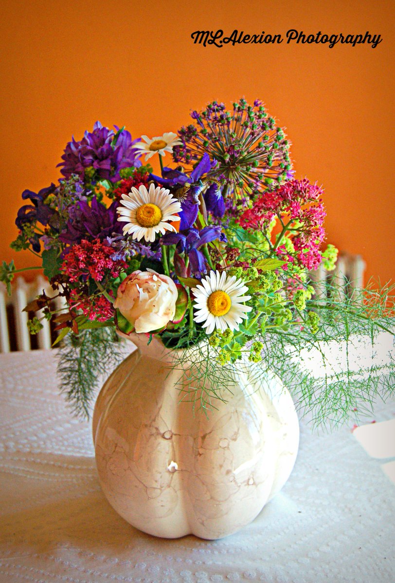 MLAlexion's tweet image. #SpringIn5Words Gardens awaken, Flowers show off
@BrenHaas @RedneckRosarian @passthepistil @aliciavarabling @QuickNDirtee @FlowerSree