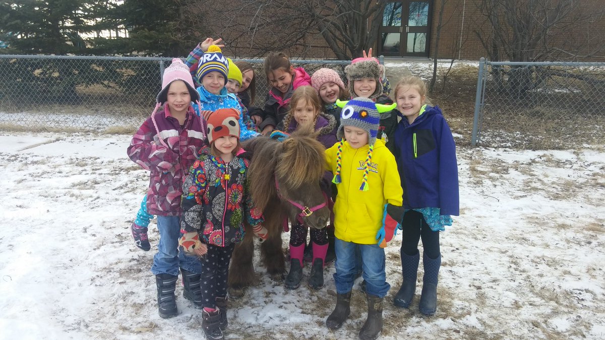 tanisregan333's tweet image. Show &amp;amp; tell @JennerPRSD8 ! We brushed Blue Eyes the horse &amp;amp; gave lots of hugs! Parent Helper read 2 class! #prsd8 #multigrade #love