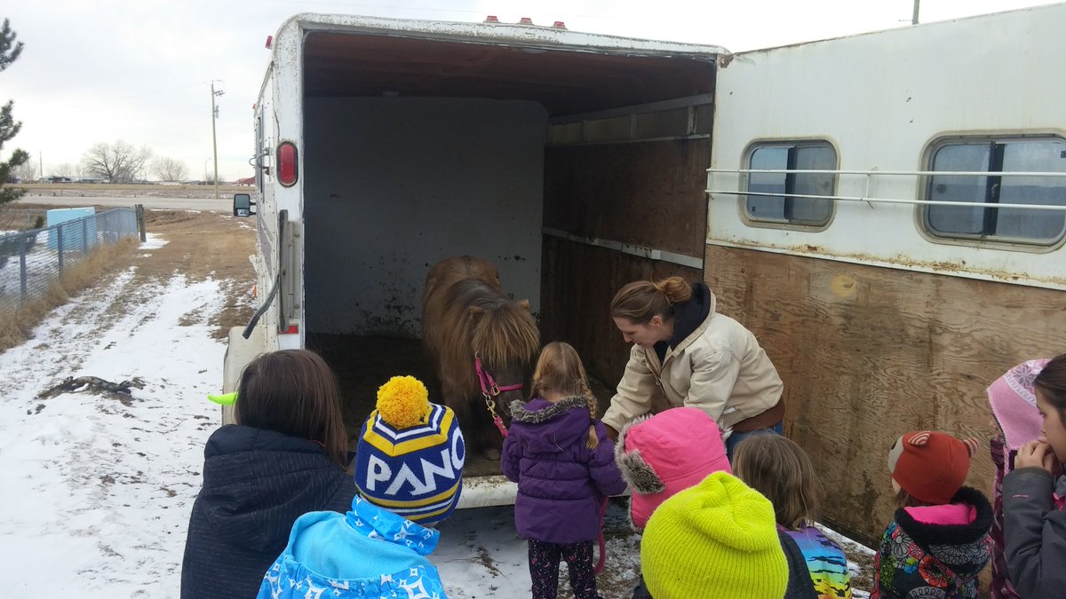 tanisregan333's tweet image. Show &amp;amp; tell @JennerPRSD8 ! We brushed Blue Eyes the horse &amp;amp; gave lots of hugs! Parent Helper read 2 class! #prsd8 #multigrade #love
