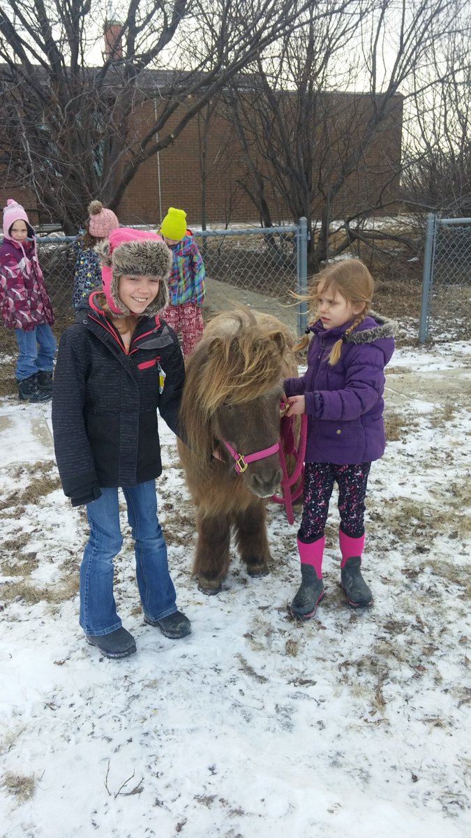 tanisregan333's tweet image. Show &amp;amp; tell @JennerPRSD8 ! We brushed Blue Eyes the horse &amp;amp; gave lots of hugs! Parent Helper read 2 class! #prsd8 #multigrade #love