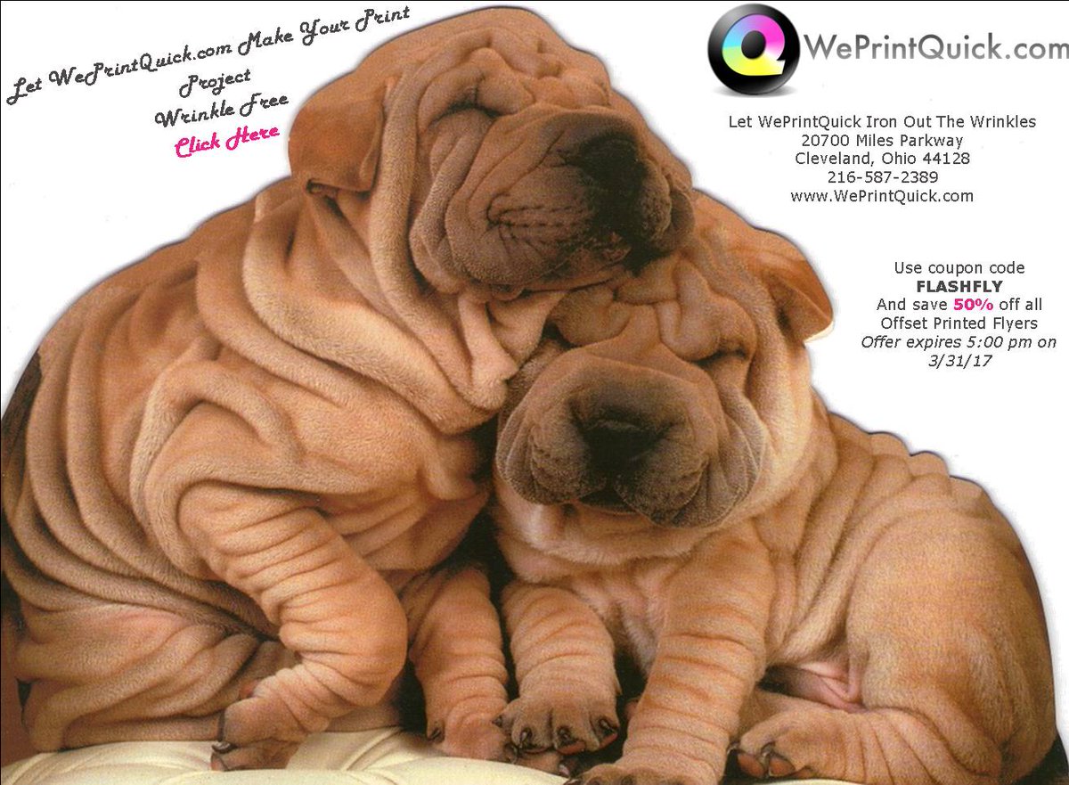 WePrintQuick's tweet photo. #weprintquick One promo 50% off flyers on  https://t.co/6goGMQKNR4 and free gift card with order on https://t.co/5R2V3cE1MF https://t.co/AWZVEKNVMi