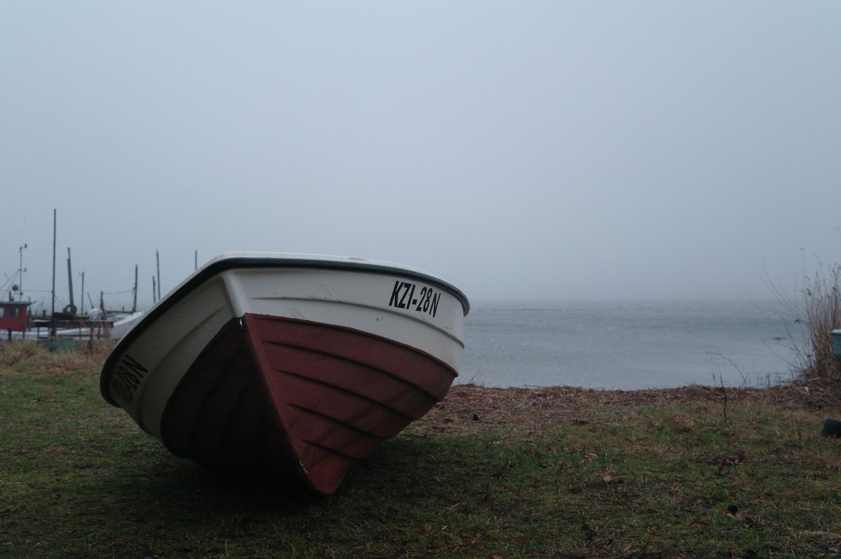 WikingerArt's tweet image. 