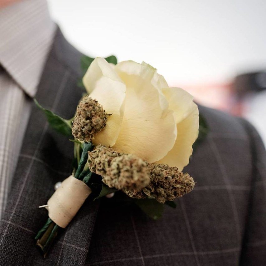 refinedbud's tweet photo. Fun article from @brides about incorporating #cannabis into your special day! https://t.co/TRIx91WDNe #weddings https://t.co/i1x1DaCbeB