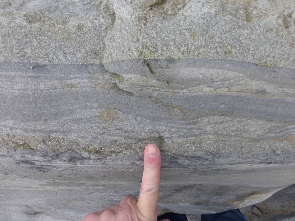 Beautiful ripple form sets and Bouma C/D divisions, Aberystwyth Grits #turbidites Aberaeron #geology #fieldwork <a href="/swanseageog/">Swansea Geography</a>