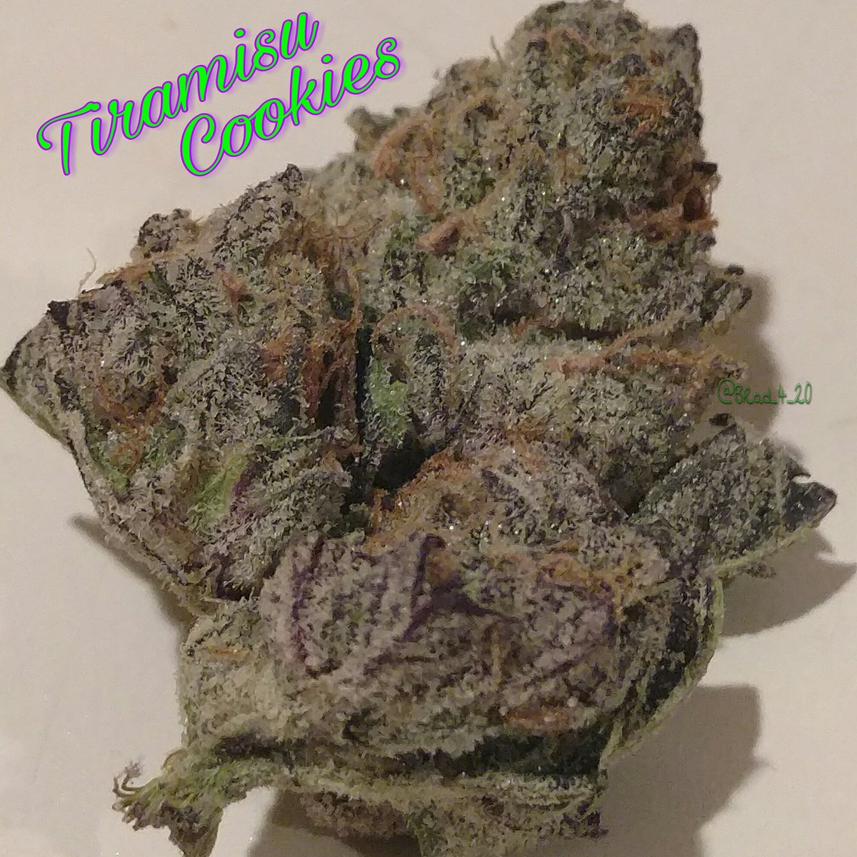 BRad_4_20's tweet photo. #WeedPornWednesday  😎💜💎🔥💨💨
#LetGetHigh #StonerFam #PuffPuffPass
@Norstackk @_jena4n @mzstoned
@mezmereyes3 @Evl420 @frankjuanaVSA https://t.co/jz7cARQbDU