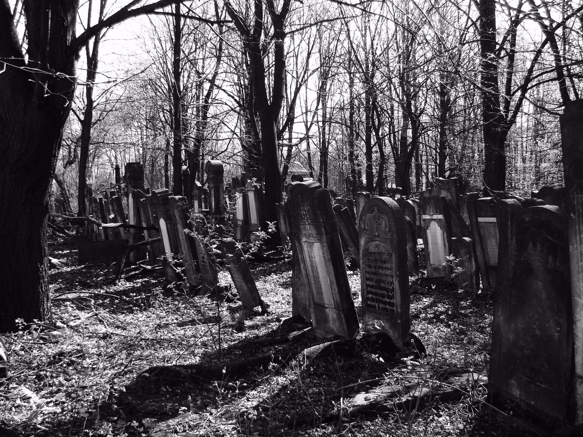 GCUrbanEd's tweet photo. @CUNYGCEES @GC_CUNY @NYC_USI @psmfCUNY AFTERLIFE! image credit: https://t.co/t1ACadedeV #LiveTweetGC https://t.co/KJJCCJGozW
