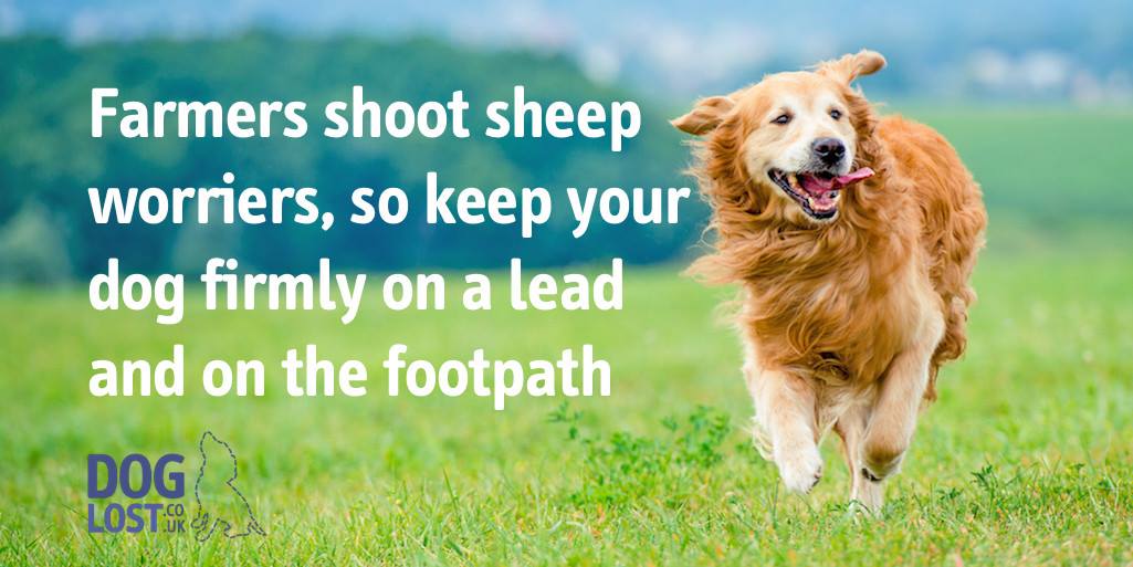 Dunham Massey PC on Twitter "responsibledog owners please keep dogs