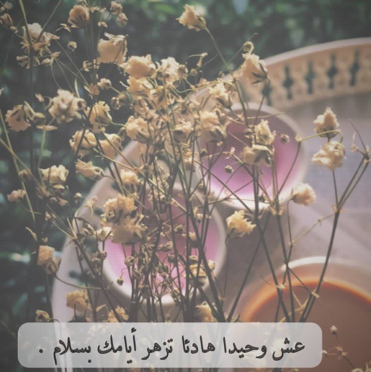 sooz____22's tweet photo. #قروب_ريم_للدعم
#قروب_ليال_للدعم
#قروب_العفراء_للدعم
#قروب_الصبايا_الغاليات
#همس_الخواطر_للرتويت
#شامخات_للتبادل https://t.co/XUnPOe0y25