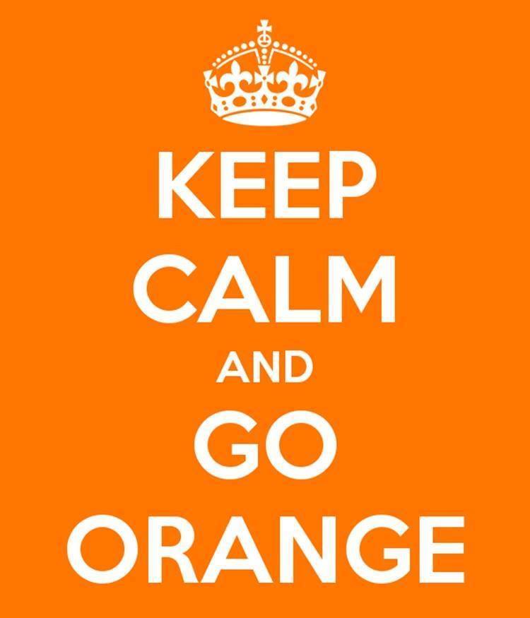 lightitorange's tweet photo. #lightitorange 30 hours to go til we Light it Orange for Shine! https://t.co/EQjdWEmEbr