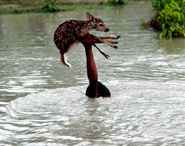 AWARD_RSA's tweet photo. World Bank says natural disasters cost the world $520 billion a year, https://t.co/yo5MgqCTR9