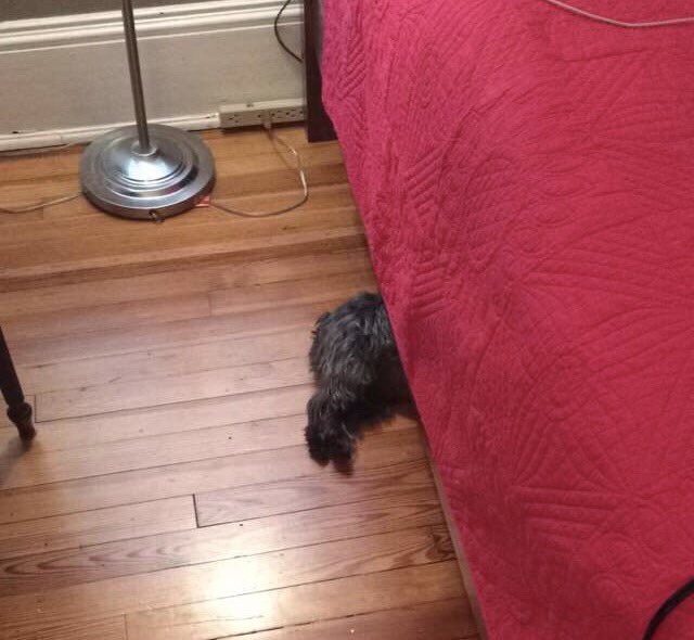rezbezrez's tweet photo. Nicki Minaj trying to play hide &amp; go seek like... #superbass https://t.co/W0toPu4bDJ