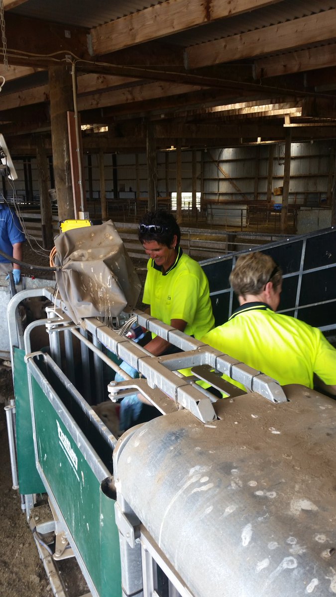AndrewPGW's tweet photo. Drench testing. Go Jen and Jo https://t.co/toL5jmYDga