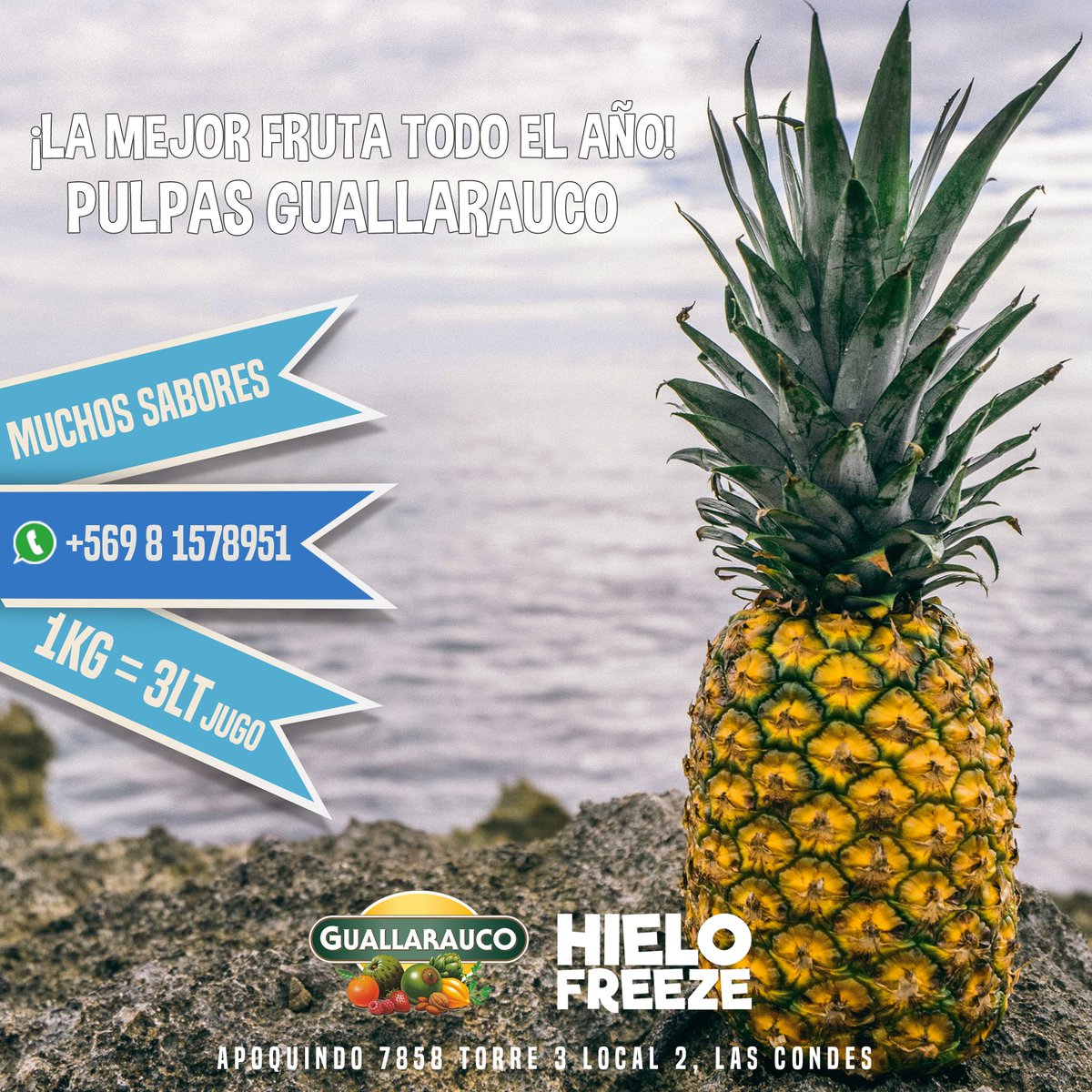 HieloFreeze's tweet photo. ¡Las mejor fruta todo el año! Siente el sabor natural de las pulpas Guallarauco https://t.co/FXIGGk6pAX