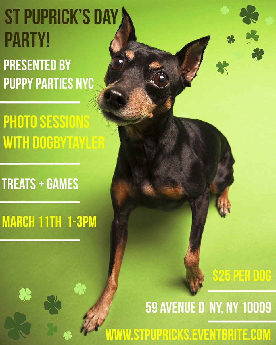 Upcoming Event! 🍀💚 #dogparty #photoshoot #StPatricksDay