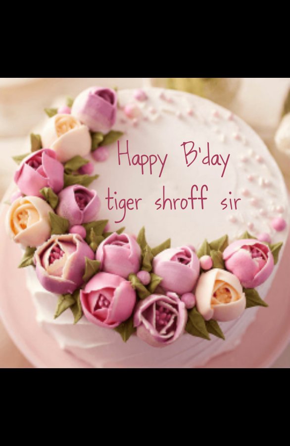 Happy birthday tiger shroff sir 