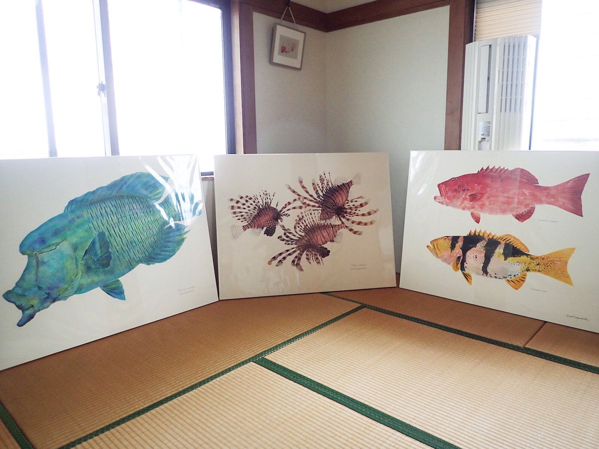 kuroNYU's tweet photo. 先日描き終えた50号の4枚組。少し名残惜しくなって、梱包前に一人でプライベート展示しました。今日石垣を発つ船便で今ごろは海の上のはず https://t.co/R7a051paq9