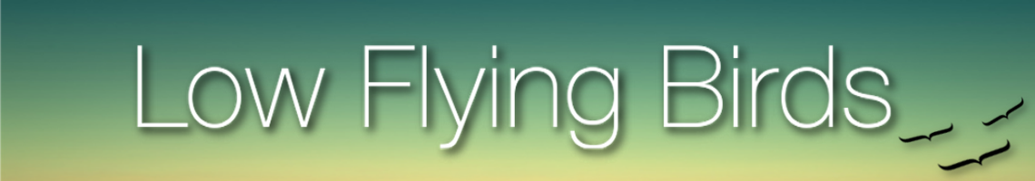 LowFlyingBirds_'s tweet photo. Brand New Music. Be the first to know about the next big thing. Visit LowFlyingBirds Here:  https://t.co/p3ji4M5tlr https://t.co/HFK0blaXd2