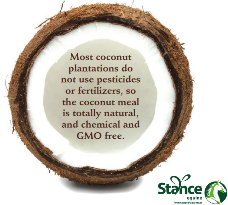 StanceEquine's tweet photo. Did you know #CoolStance is #GMOFree #ChemicalFree and great for #Horses #coconutforhorses #stanceequine #equitec https://t.co/uH4IliHKIQ https://t.co/NmYuumLGzt