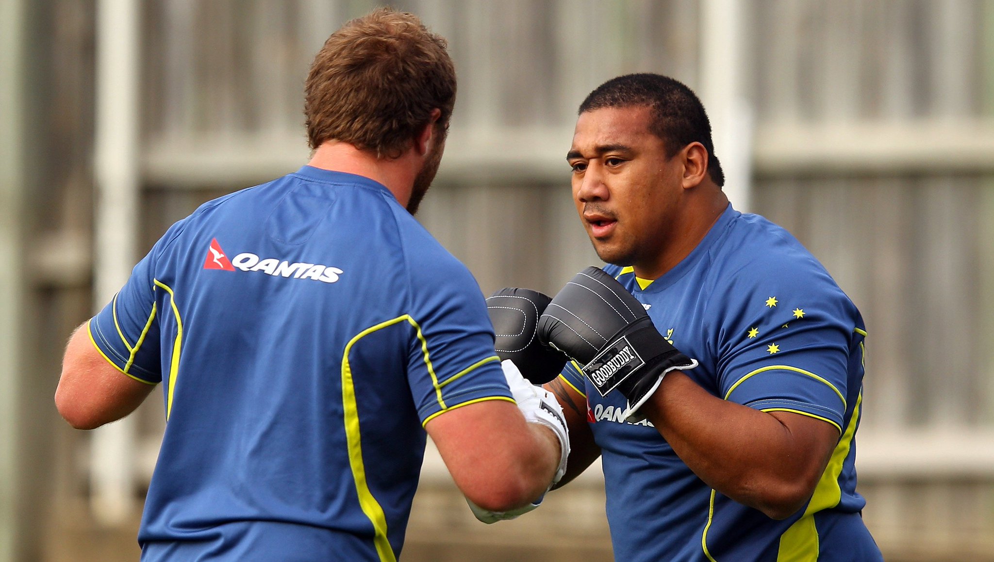 Happy birthday to Wallaby No. 838 Salesi Ma\afu, who made his Test debut vs. Fiji in Canberra (2010). 
