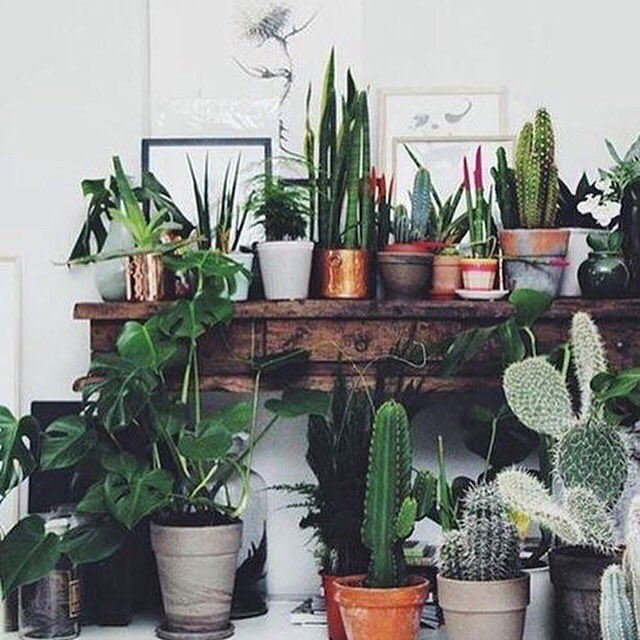 Who wouldn't mind this as their office space?