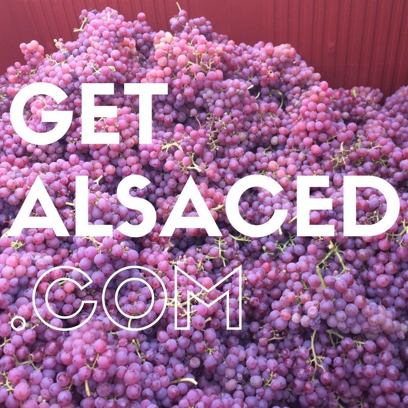 GetAlsaced's tweet image. Harvest is so far away right now...but the bottling is just getting started!
#getalsaced #grapes #wine #france