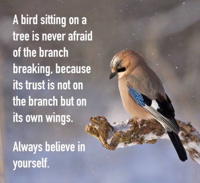 TeacherGoals tweet media