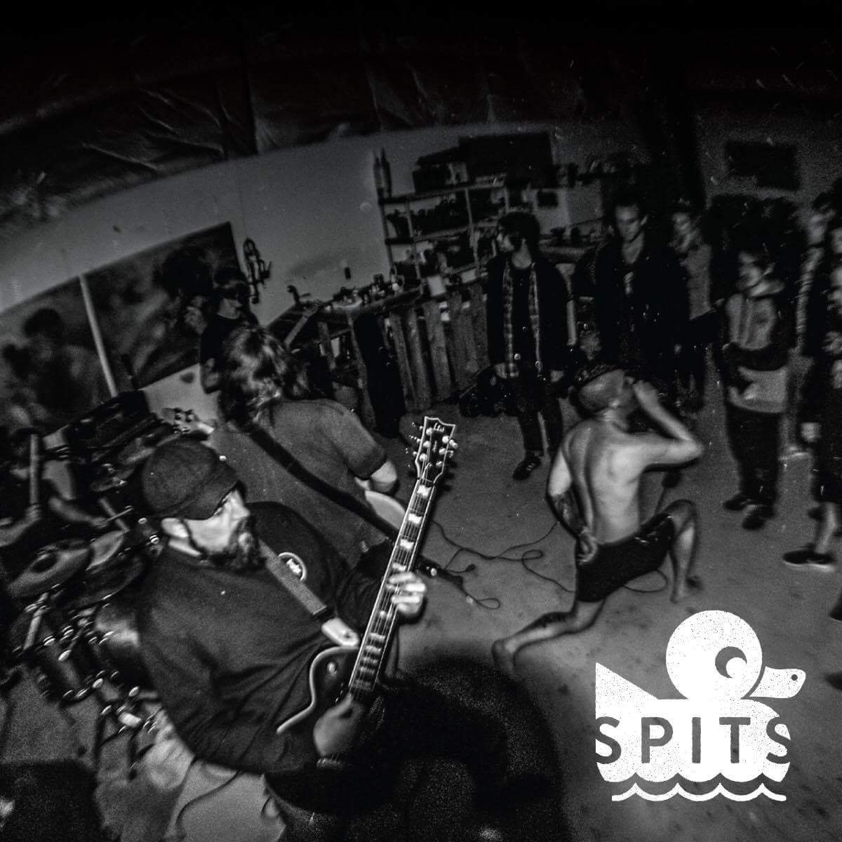 Despite Despair tweet media