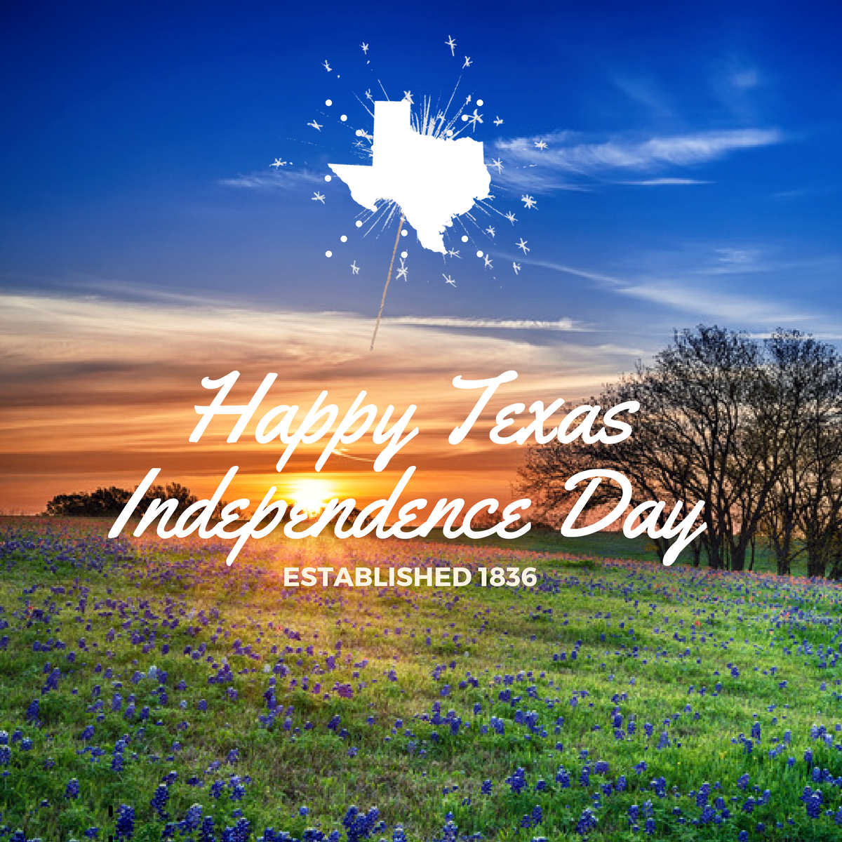 Happy Texas Independence Day Page 2