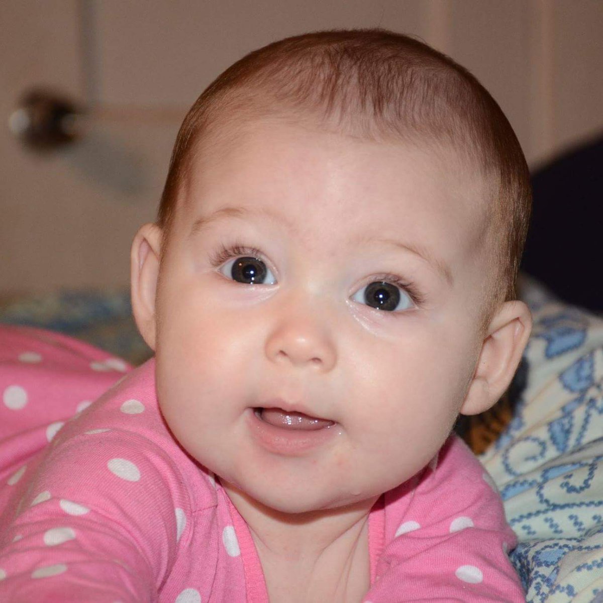 Aliowens03's tweet photo. Seriously? Why she gotta be so stinking cute?! https://t.co/34j39IWVpt