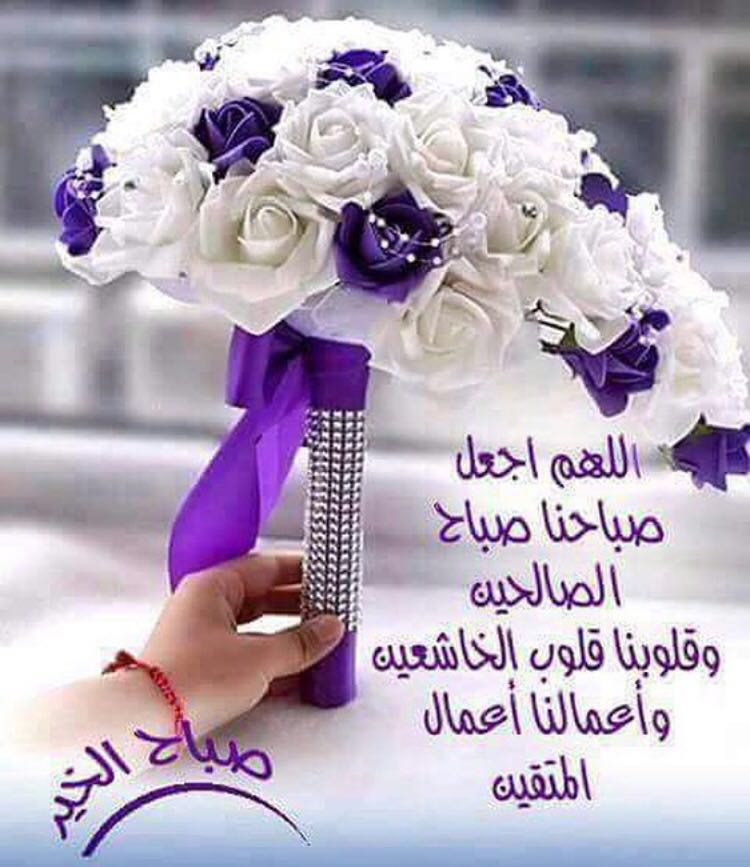 ibr16904 tweet picture
