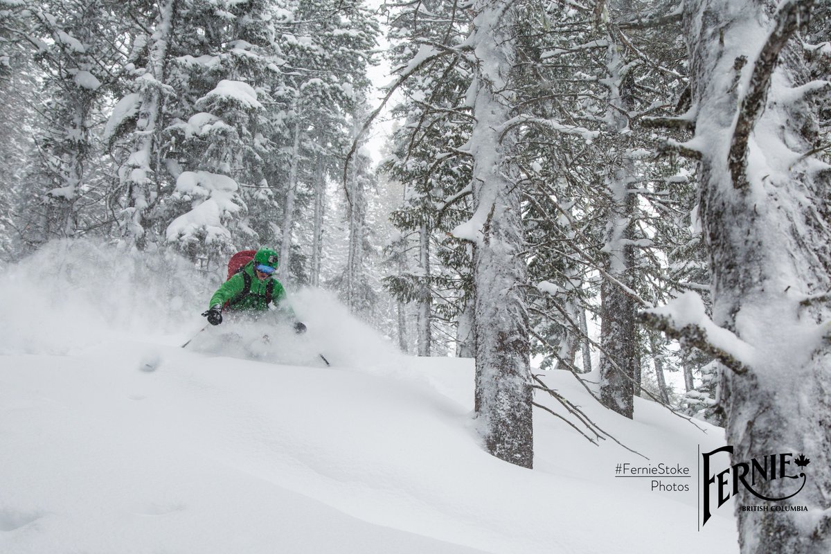 TourismFernie's tweet photo. Topped up with a further 40+cm last night. Even more expected this weekend. Griz is working overtime for us! #ferniestoke https://t.co/0OJ6nnnUdC