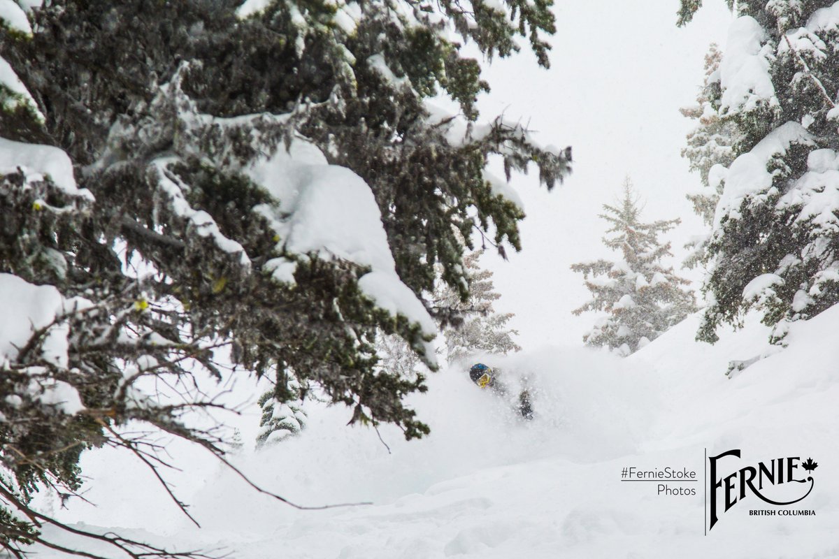 TourismFernie's tweet photo. Topped up with a further 40+cm last night. Even more expected this weekend. Griz is working overtime for us! #ferniestoke https://t.co/0OJ6nnnUdC