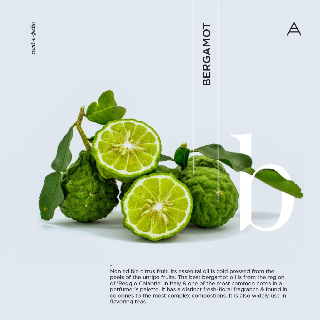 rajivsheth's tweet image. An indispensable ingredient in a perfumer&apos;s palette #bergamot #citrus #topnotes #perfumery #ScentOpedia #smellgood #fragrance #creation